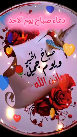 صباح يوم الأحد #صباح_يوم_الاحد #VoiceEffects #tiktok #trending #viralvideo 