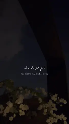 تنهایې به مې عادت شی 🫩.            #fyp #fyyyyy #pashtopoetry #pashtoshayari #yxzbca 