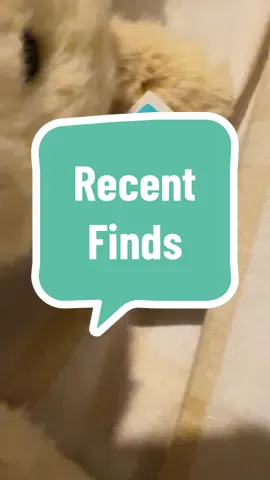 New finds for my daughters collection - the squirrel is fav 😍 #jellycat #jellycatcollection #bargain #vinted #vintedhaul 