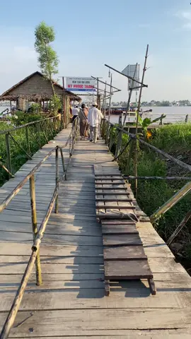 Ai chưa đi thì đi cho biết cảnh xếp hàng nha mấy ní, ta nói nó đã gì đâu á 🥹#tanthuandong #choque #dongthap#xuhuong 