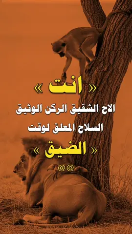 #عبارات #عبارات_ابو_ذياب #مالي_خلق_احط_هاشتاقات 