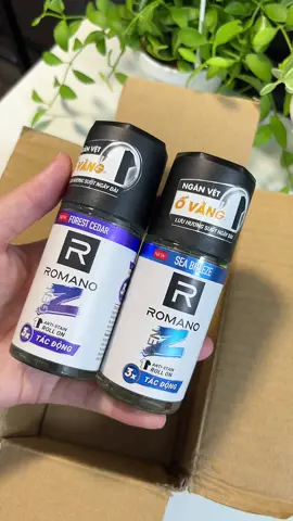 #romano #lankhumui #lankhunuiromano #giadungtienich 