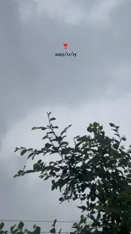 واخيراً البصرهه🌚🤍🤍🤍؛