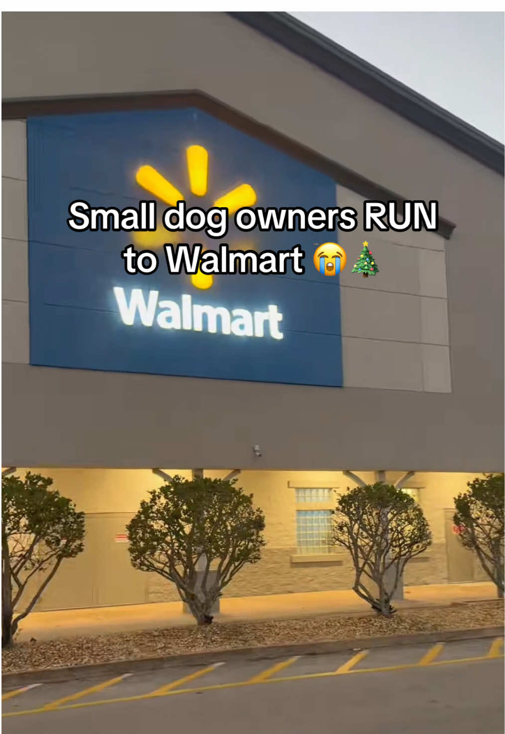 Look in our bio, not walmart 😂#giftideas #christmas #pets #dogmom #winter 