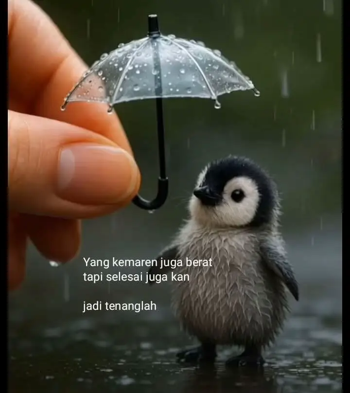 #pyfツviral_❤💖🤞pyfツvideo_pyf_viral_pppppppppp_pyf_ 