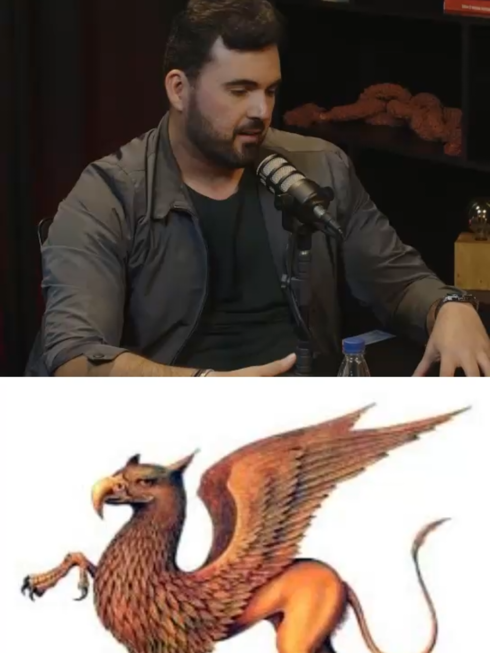 o que eh um grifo PT 2. @danielg.grifo @clipfyai.league #danielgrifo  #clipfygrifo  #clipfyleague #fyp 