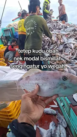 #fypシ #pelautindonesia #nelayancantrang #storypelaut #bukur 