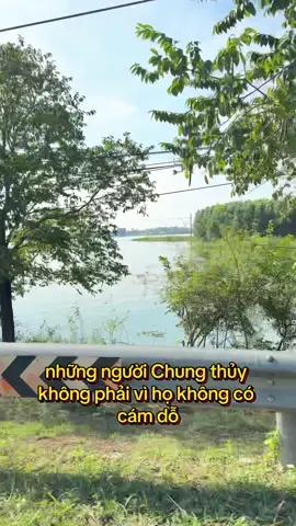 Những người chung thuỷ không phải vì họ không có câm dỗ#xuhuong #baihoccuocsong #tinhyeu #honnhan 