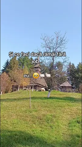macar ma plimb toată ziua 🥹🥹🐏🐑🤭🇷🇴 #viralvideos #loveyou #for #my #viralvideos 