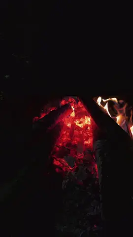 Mùa đông về rồi ☺️☺️#xuhuong #hồngthái #ViHungHomestay 