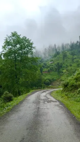 #100kviews #viewsproblem🥺 #viewsproblem💔 #tiktokviral #1millionaudition 