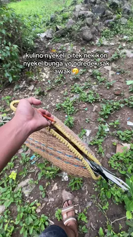 genah ndredek 😩#ayamplucker 