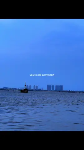 need you here anymore.