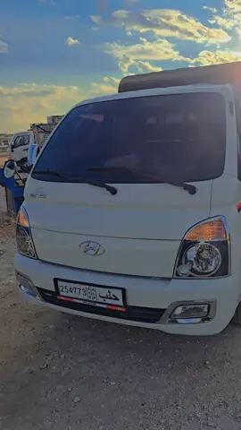 11 12 حصراً بسوريا مالها اخ بلكرتونة