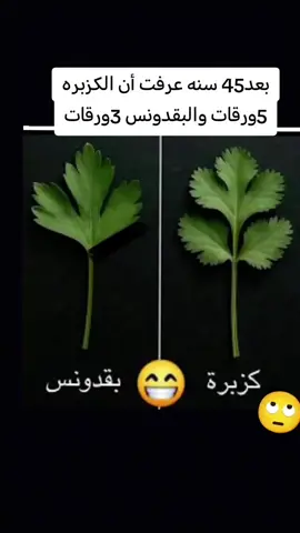 #الرياض #الكويت_مصر_السعودية_سوريا_الامارت #الرياض_جده_مكه_الدمام_المدينه #fypシ゚viral #f 