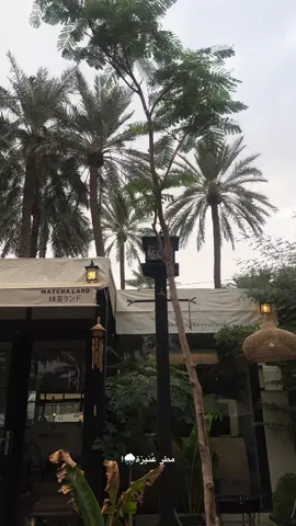 الاجواء اليوم🥹✨!!#fyp #عنيزة #القصيم 