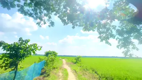 কপালের ওই টিপ #viralvideo #প্রকৃতির_অপূর্ব_সৌন্দর্য🥰 #foryou #foryoupage #ভাইরাল_ভিডিও 