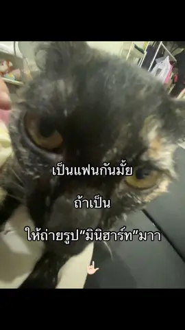 #fyp #เธรดคลั่งรัก 