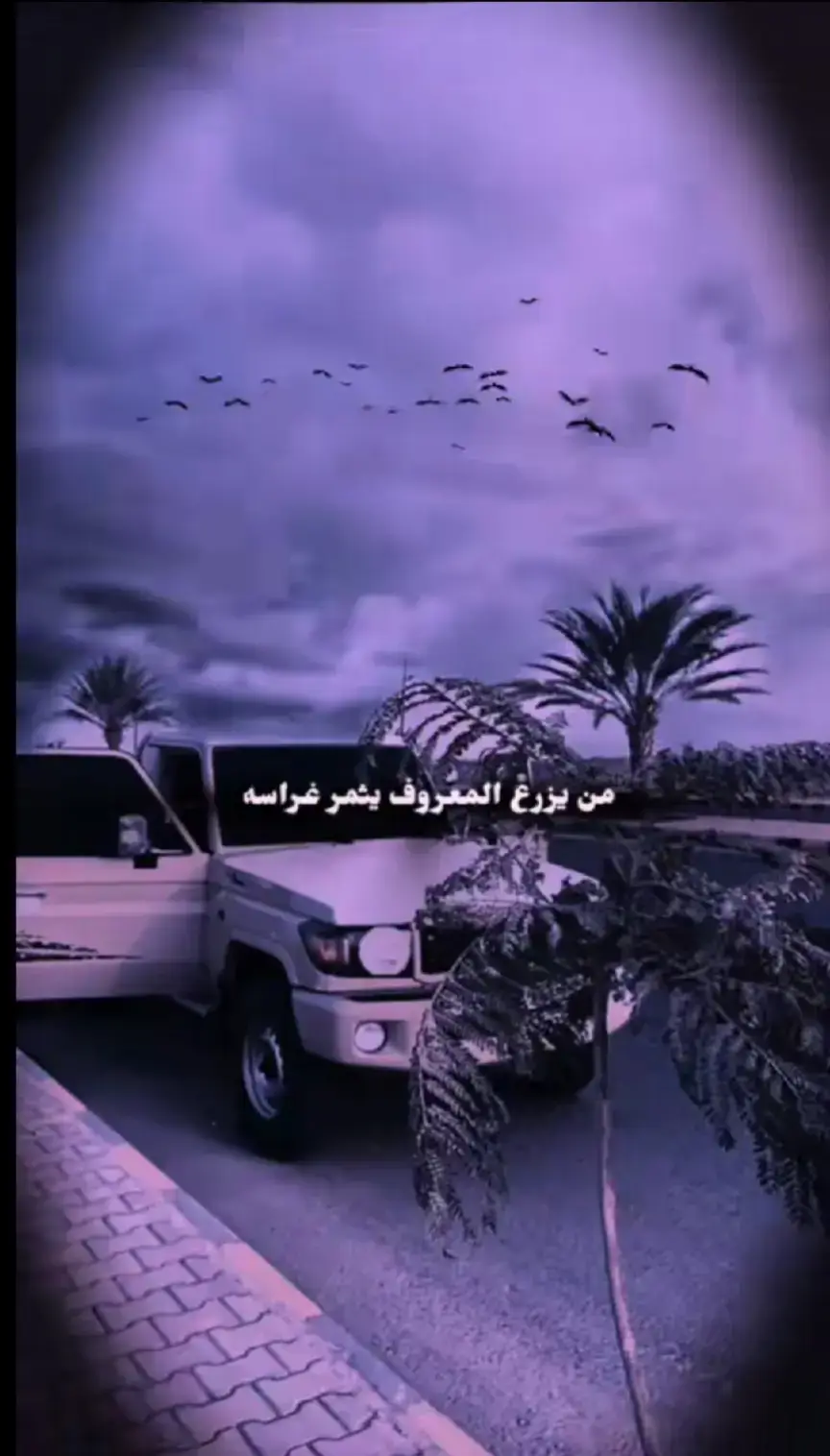 #قصايد_شعر_خواطر_شيلات_الاكسبلور 