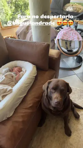 Miren como cuida Alannita 😍