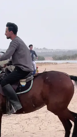 #خيل_وخياله🐎 
