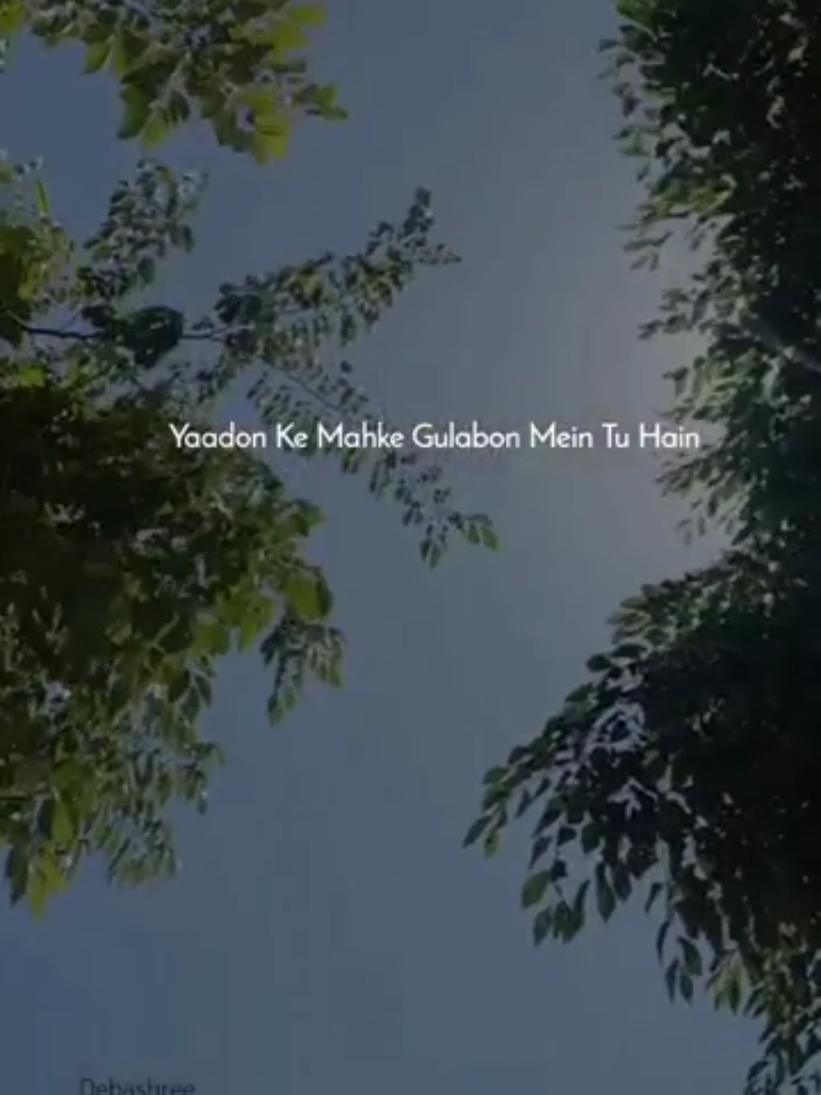 #oldsongsbollywood #bollywoodoldsong #🌹🌹🌹🌼🌼🌼🌷🌷🌷🌷🌺🌺🌺 #😍😍😍 #viralvideo 