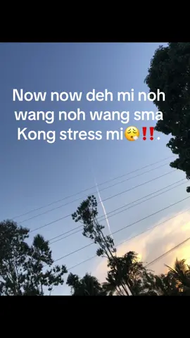 ‼️ stresss……#fpyシ #virall #yzxcba #likefollow #