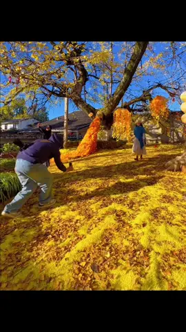 Cách quay video đơn giản nhưng rất ấn tượng và sống động #fyp #foryou #foryoupage #viral #xuhuong 