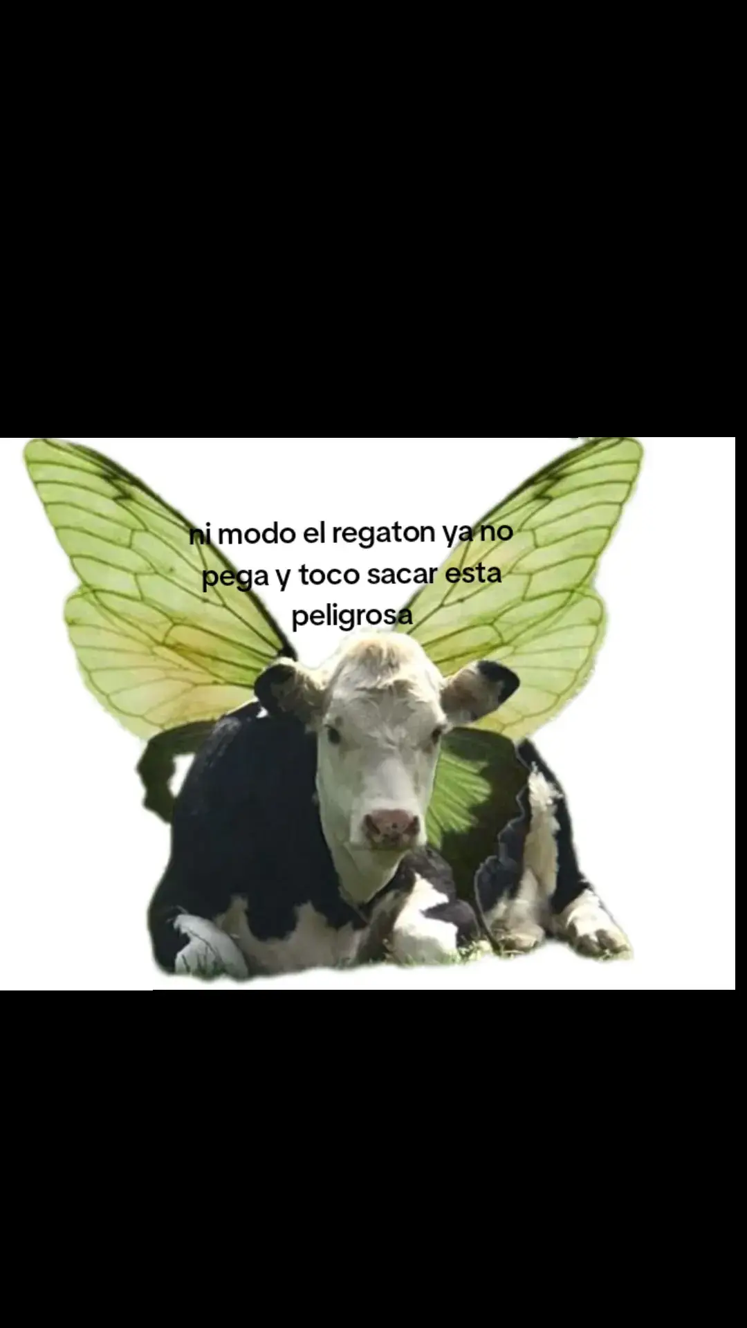 #Meme #huayno #fypppppppppppppp #soniamorales #regueton 