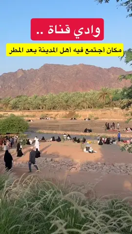 تصوير @عدسة المدينه 🕌📸(حماد الحربي) #وادي_قناة #المدينه_المنوره #امطار_المدينه #امطار #مجتمع_المدينة_المنورة 