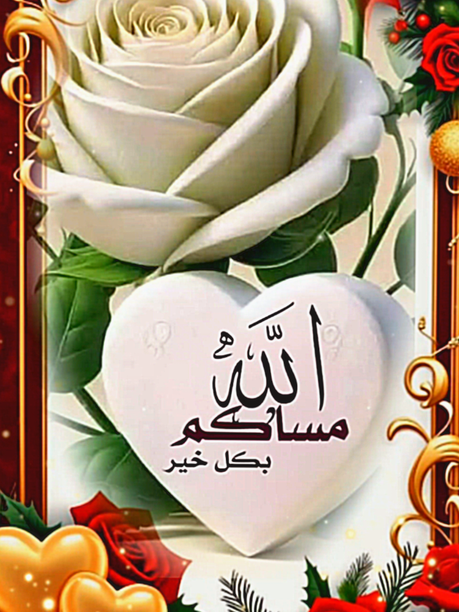 #الله_مساكم_بكل_خير #فيرال_فيديوفوريو  #❤️❤️❤️❤️❤️❤️ 