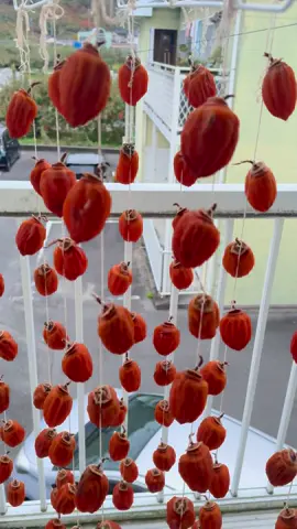 Cứ phơi nắng ít, gió nhiều là màu đẹp như hoa hậu nha mấy bà 😃 cmt thành quả nàooo #hong #hongtreogio 