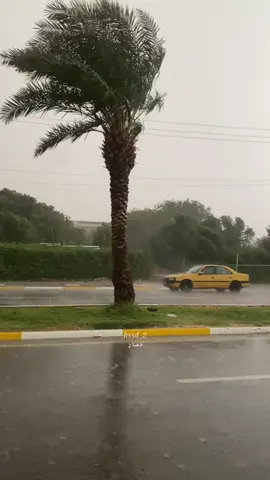 أقوه مطرة في واسط قضاء النعمانية #الهم_صلي_على_محمد_وأل_محمد 