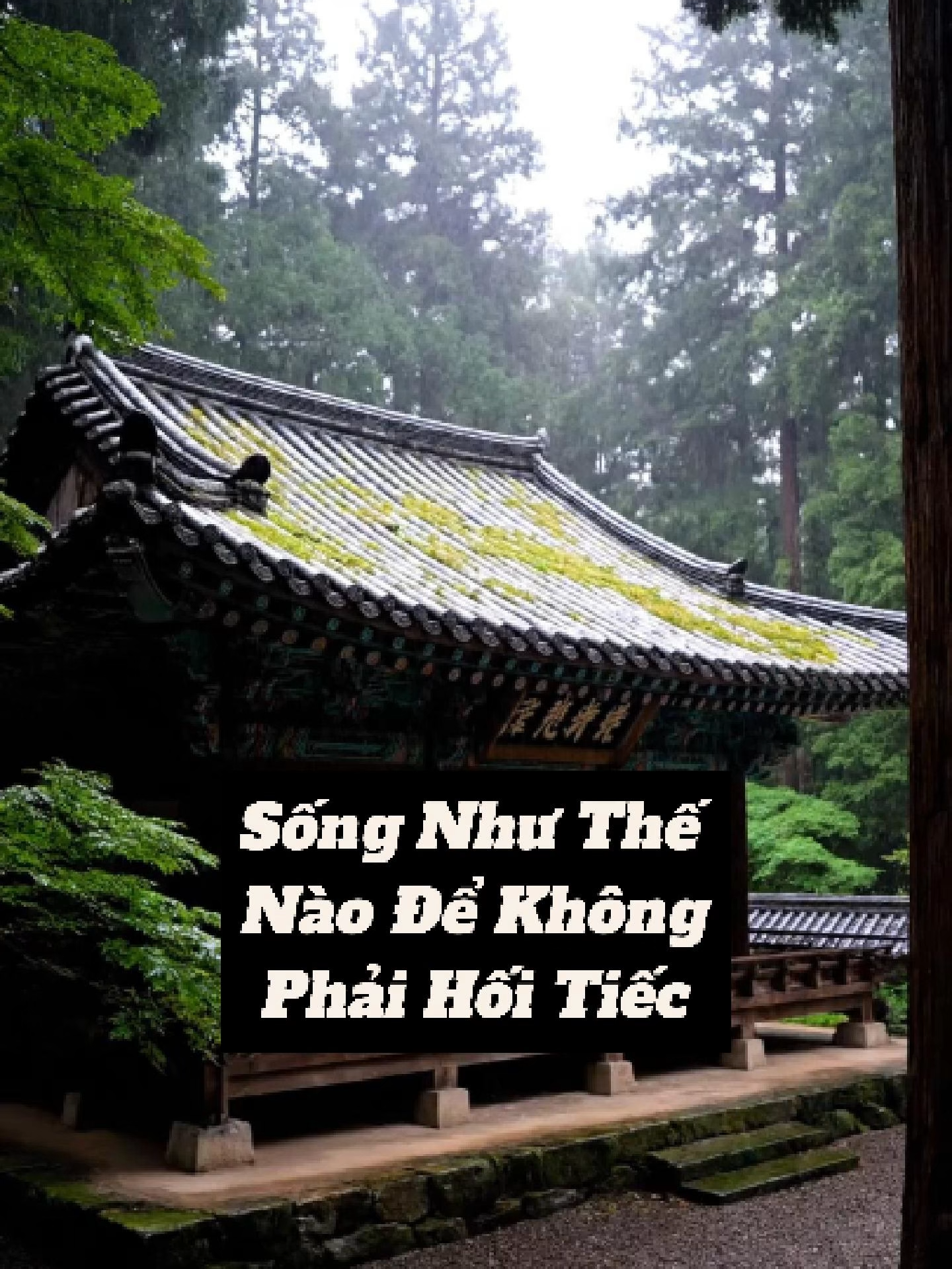 Đây Là Lúc Để 