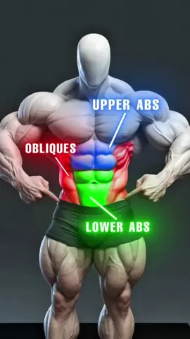 Treino de abdominal completo 💪#treino #exercicio #hipertrofia #abdominal #academia 