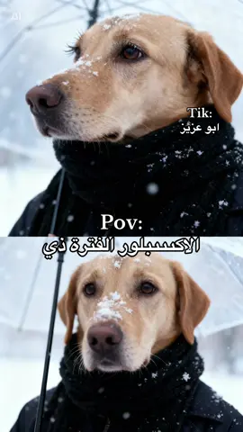 ترند الثلج #fyp #explore #viral #ترند #explore #CapCut 