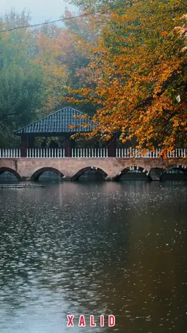 15/11/2025  #slimany 