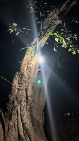 Nahi may mar jaunga😔💔 #mightyankit #part72 #foryoupage #birgunjmuser #nightview 