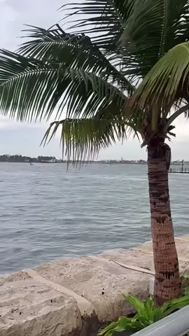 #explore #اكسبلور #ترندات_تيك_توك #كورنيش_جدة #ابحر_الشماليه_جدة 