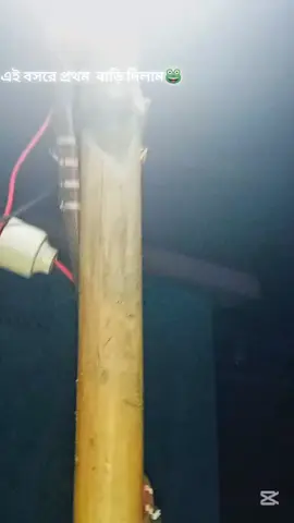 #এই এই পাশের প্রথম বাড়ি দিলাম #🐸🐸🐸 #☺️☺️☺️ #😁😁😁 #1millionaudition 