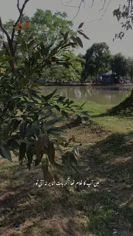 @ITZ احمدِ علی 👑 