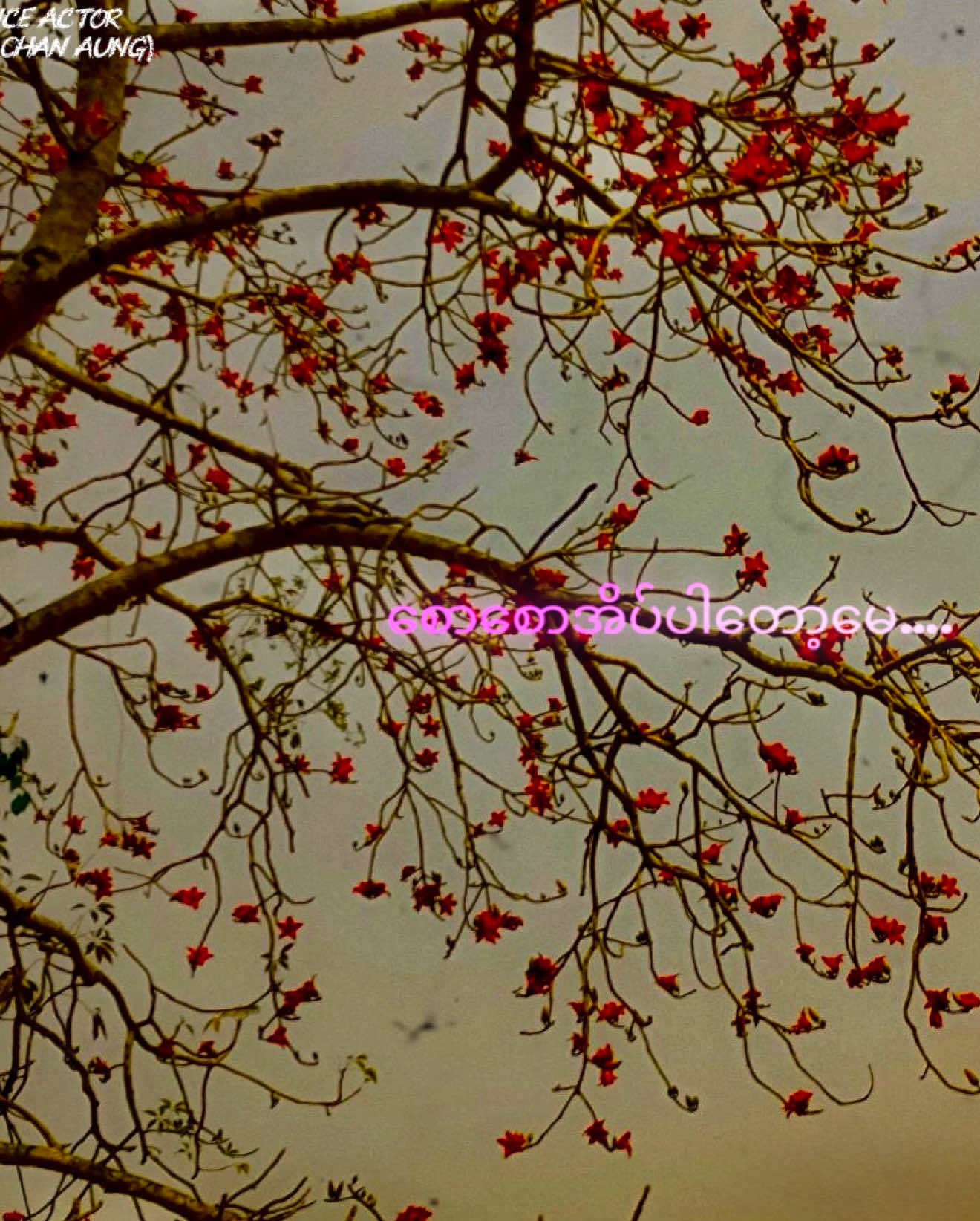 #crdစာသား #စာတို #စာပေ #စာပေချစ်သူ #ကဗျာချစ်သူ 