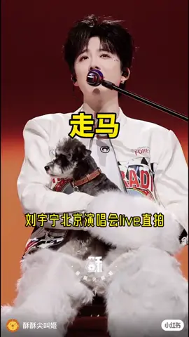 คอนเสิร์ตแรกของดาราสาว ก็จะตื่นเต้นนิดนึงฮะ #liuyuningconcerttour2025 #刘宇宁 #LiuYuning #หลิ่วอวี่หนิง 