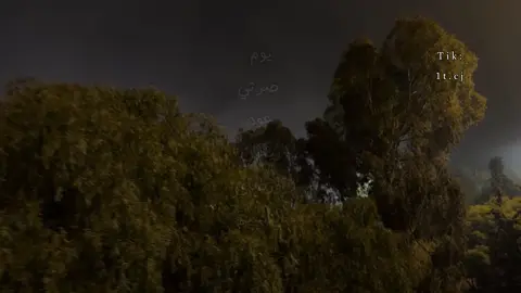 يوم صرتي عود ريحان ورضاي النسيم 🧑🏻‍🦯 . #عبدالرحمن_القريشي #تصميمي #foryo #fyp 