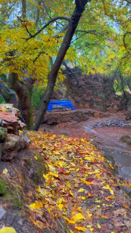 Payiza esomara 🤎🍂…#fypシ゚ #viral #tiktok #foryou #selwa🦋 