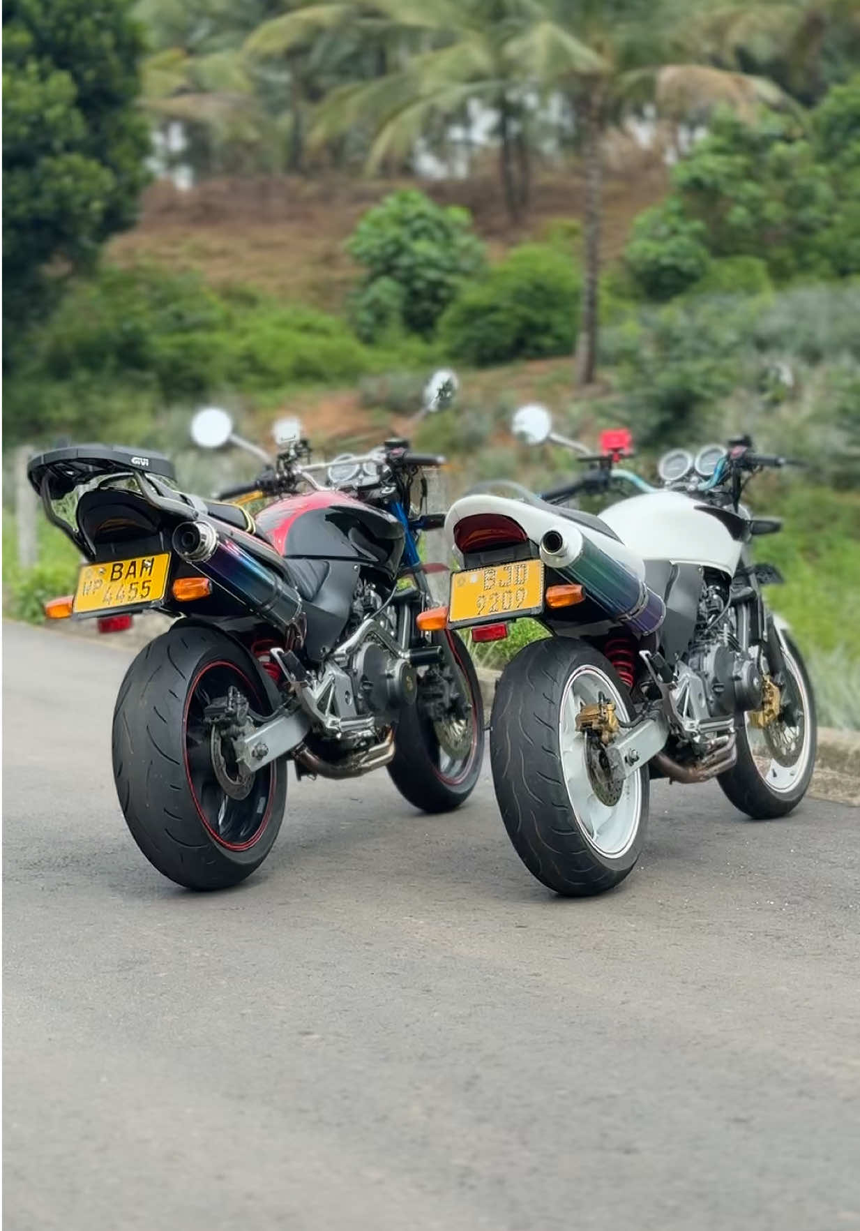 #hornet250lover🐝🥰 #bikelover #viral 