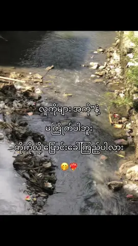 @🐨 justin 🐨 😖💕#harrysarto #ရောက်ချင်တဲ့နေရာရောက်👌 #စာသားcrdပေးပါတယ်နော်😗 