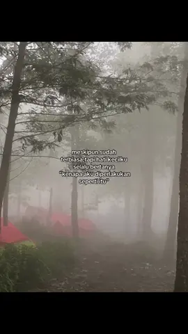 #fypeee#fypee#fypebrndayou 