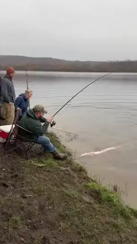 Câu được mực khủng 