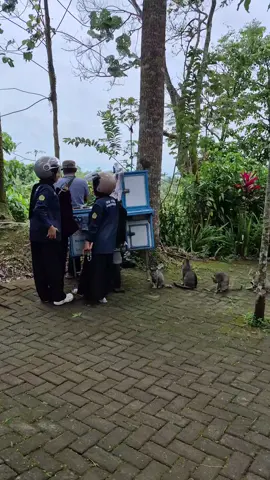 🐱 : tadi yang datang aku duluan ya.🗿 #kucing lucu#kucing mujaer#kucing pasir proyek#kucing gemoy#fyp